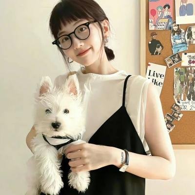 监谍任务